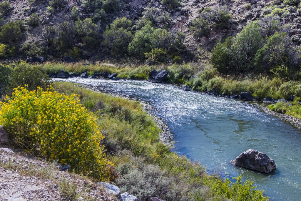  “Rio after San Juan-Chama feed”                                                                                      Photo by Evan Barela The Rio Grande north of Albuquerque receives water from the San Juan River as well as the Chama River. 