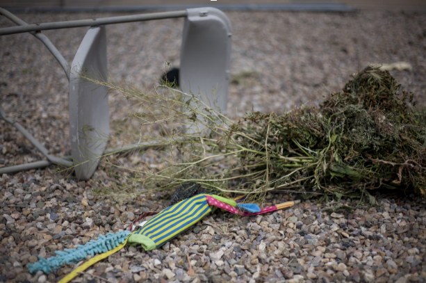 Litter accumulates on Albuquerque’s Westside after a windy spring day. Albuquerque’s 311 service received 11,869 calls from citizens reporting litter in the month of March. Photo by John Acosta / NM News Port