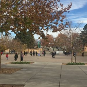 University of New Mexico- the largest college in the First Congressional District with roughly 28,000 students. Many students are concerned with rising tuition rates. 