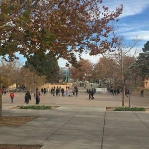 University of New Mexico- the largest college in the First Congressional District with roughly 28,000 students. Many students are concerned with rising tuition rates.