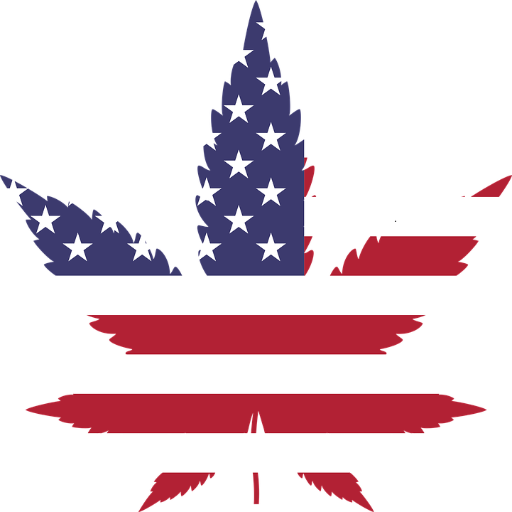 American Weed