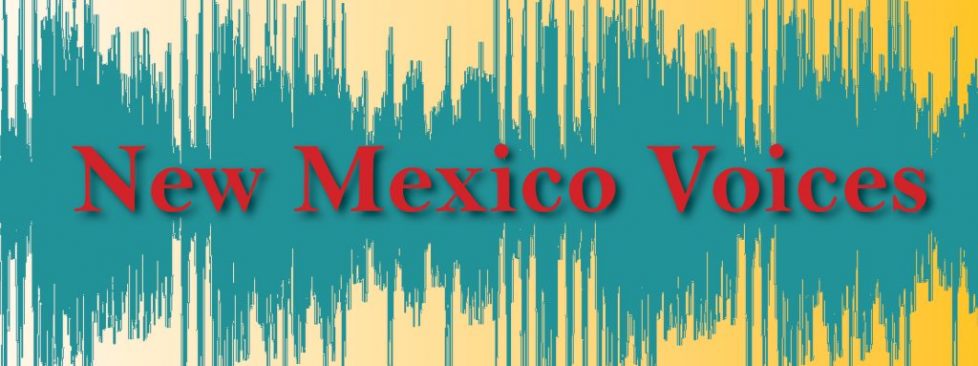 NM Voices Logo (red text)