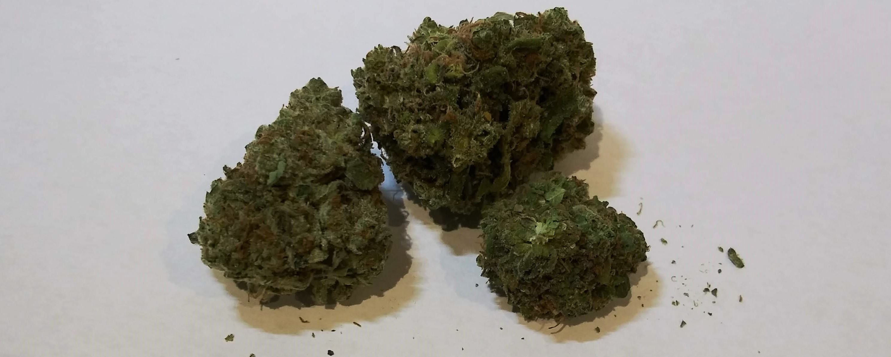 bud photo edit 1